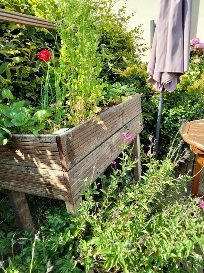 Mer A Pied Vrai Lit Linge Fourni Jardin 布雷蒂诺斯梅尔 外观 照片